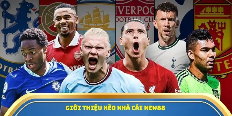 Tin Tức Soi Kèo New88 - Dự Đoán Kèo Tốt, Lợi Nhuận Cao 1 Giới thiệu kèo nhà cái New88